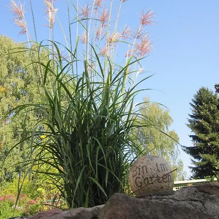 Haus Alpaka Дом отдыха Бад-Кёниг