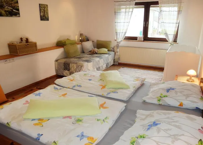 بيت للعطل Haus Alpaka باد كونيغ